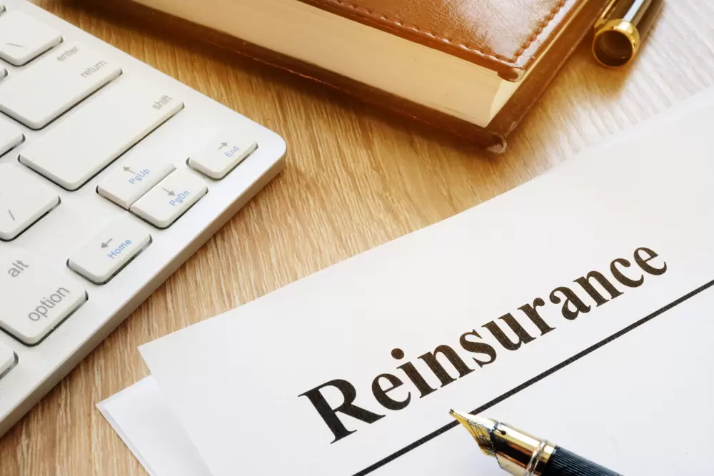 California's Insurance Crisis After Wildfir_7